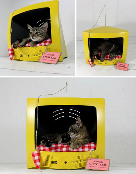 cat-bed-television-set