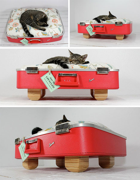 cat-bed-red-suitcase