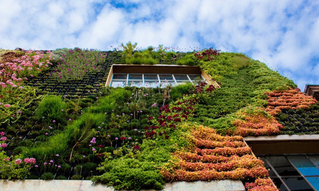Planted-Design-Living-Wall-6-1020x610