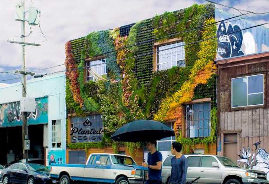 Planted-Design-Living-Wall-9-cropped-889x610 (1)