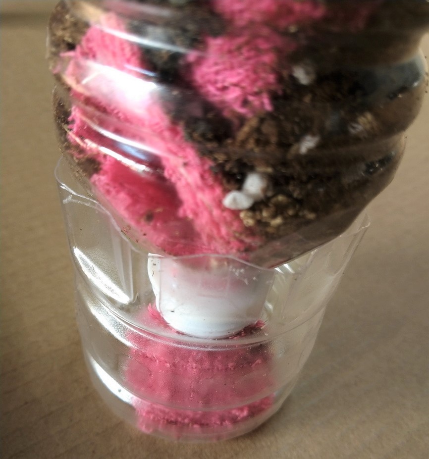 環保回收寶特瓶DIY花盆算動補水